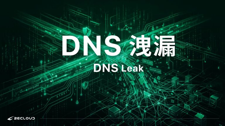 dns-leak